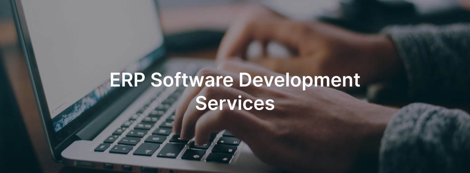 Banner image for ERP software development